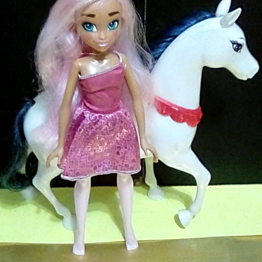 Pink hair doll & horse